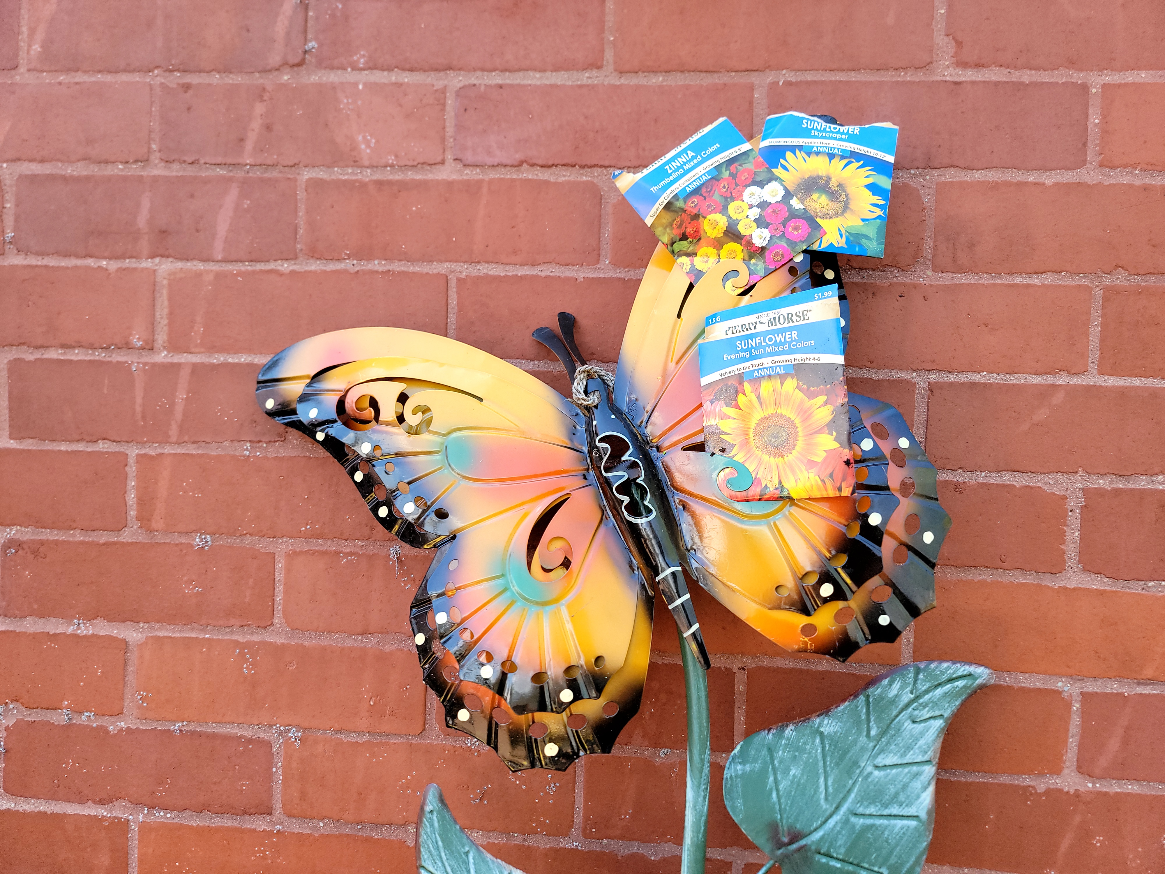 🪴 Opening the Garden